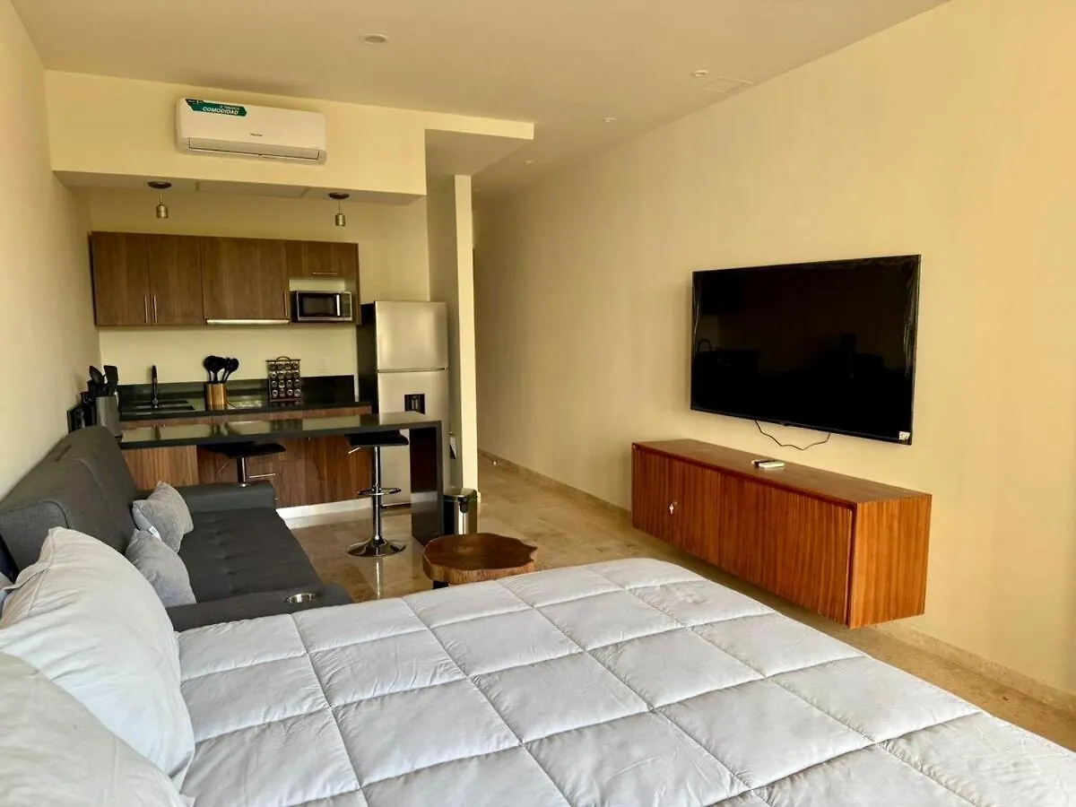 Loft Apartment In A Private Condominium 툴룸