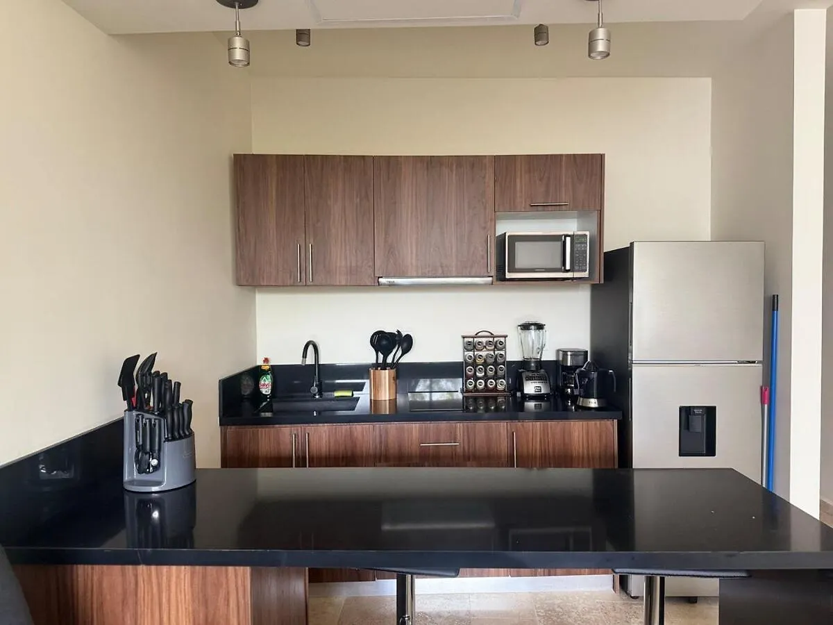Loft Apartment In A Private Condominium 툴룸